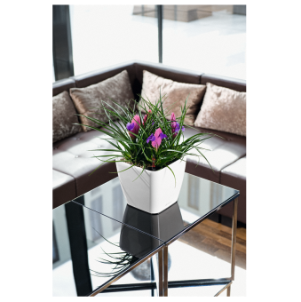 Lechuza Quadro LS PREMIUM