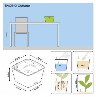 Lechuza Bacino COTTAGE
