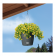 Lechuza Nido COTTAGE (����� ���������)