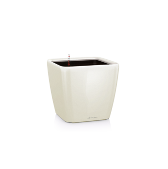 Lechuza Quadro LS PREMIUM