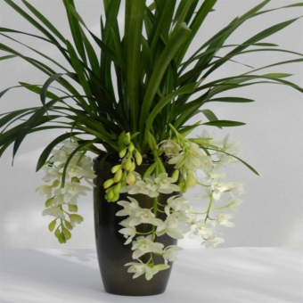 ������� ��������� ���� ����� � �����