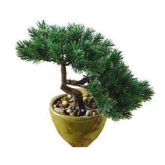 ������������ ������ ����� 35��