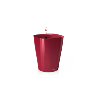 Lechuza Deltini PREMIUM