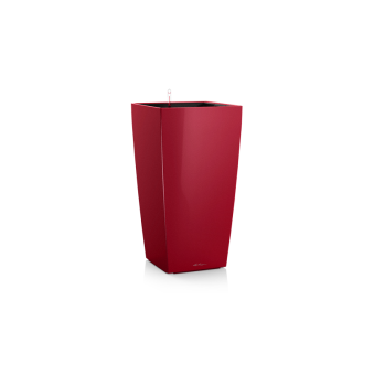 Lechuza Cubico PREMIUM