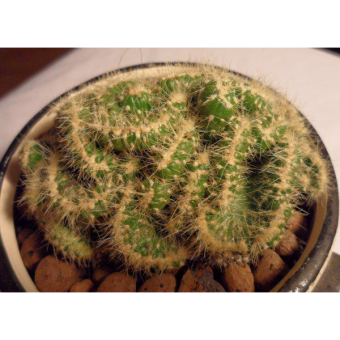 �������� ���� 10/8