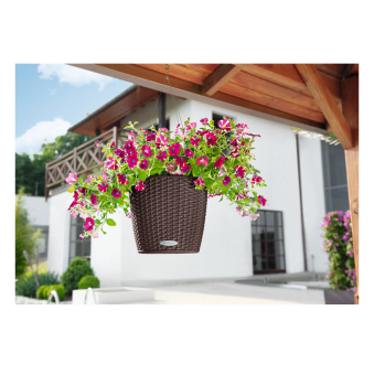 Lechuza Nido COTTAGE (����� ���������)