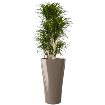 ������� ����� + DELTA 40