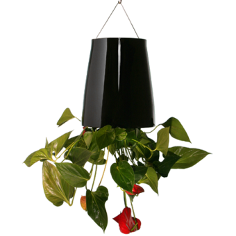 BOSKKE SKY PLANTER CERAMIC, MEDIUM ������