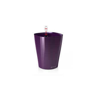 Lechuza Deltini PREMIUM