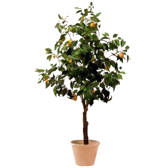 ������ ����� 90/22 �������