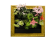 ����� ������� 60x60x10 ��