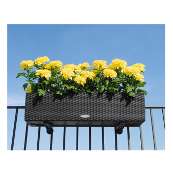 ��������� ��� Lechuza Balconera