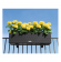 ��������� ��� Lechuza Balconera