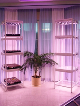 ������� ��� �������� ����������� ����