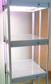 ������� ��� �������� ����������� ����